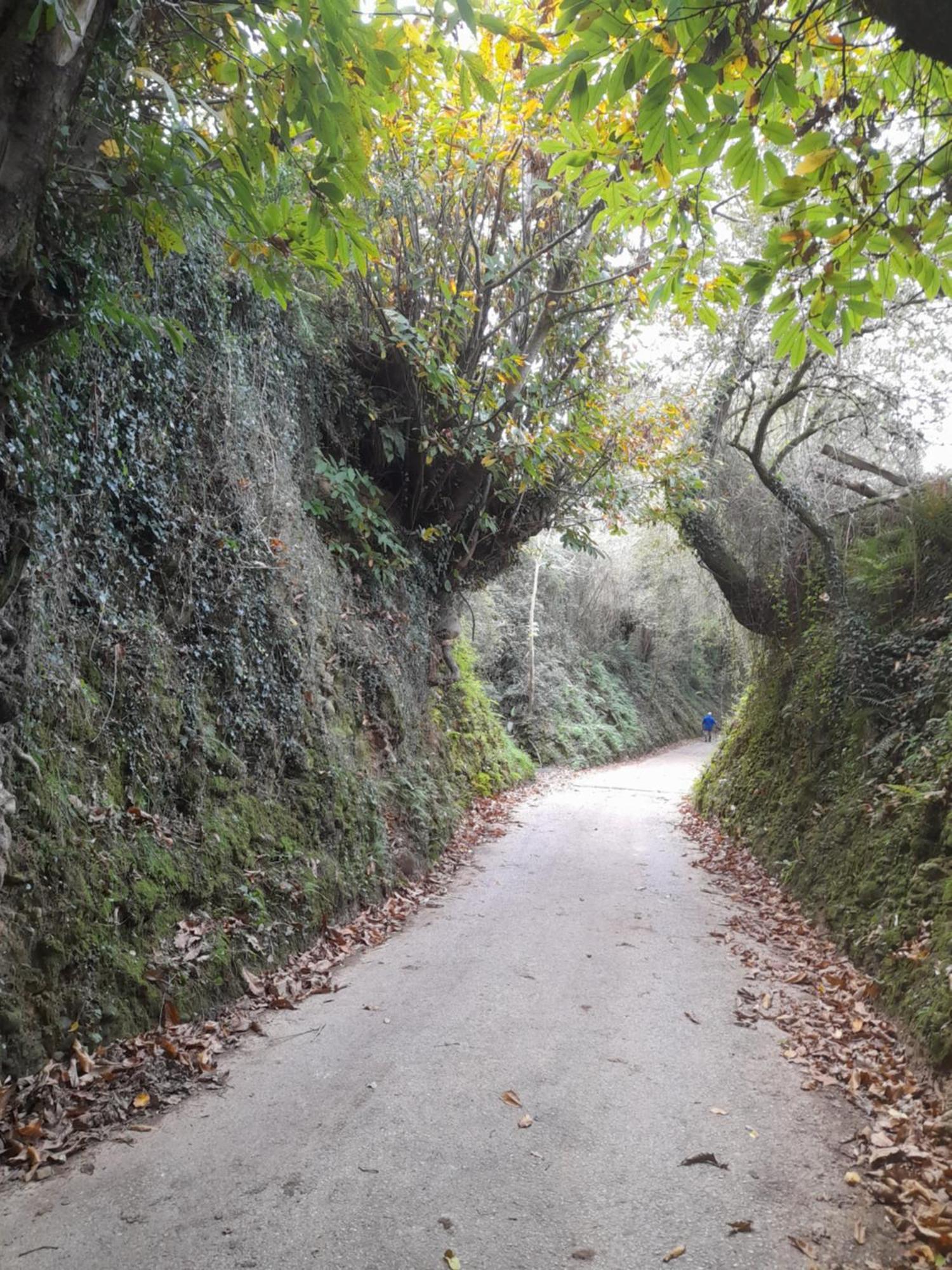 Casa Pili Βίλα Rivero Εξωτερικό φωτογραφία